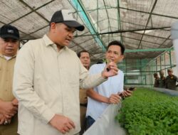 Bupati Uji Nurdin Tinjau Proses Kultur Jaringan, Bantaeng Siap Jadi Daerah Penghasil Benih Kentang