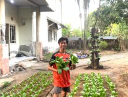 Dari Pekarangan Asrama ke Ketahanan Pangan, Mahasiswa UIM Asal Bantaeng Buktikan Ilmu Agribisnis Tak Sekadar Teori
